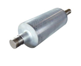 Reticulated roller.png