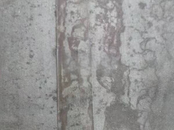 1673328519214484.jpg 770cbe08-30b7-49af-945f-549ab1164ac1.jpg