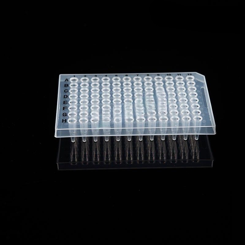 1676963885119486.jpg 5ef27aa7-5f57-4f3a-bd30-dad060d73f3a.jpg