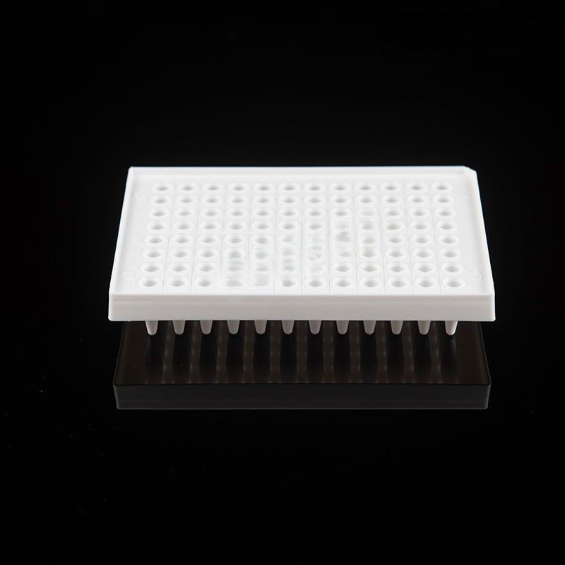 1676963903141709.jpg 799e7d55-f3cb-4723-adbb-04e42262a20d.jpg