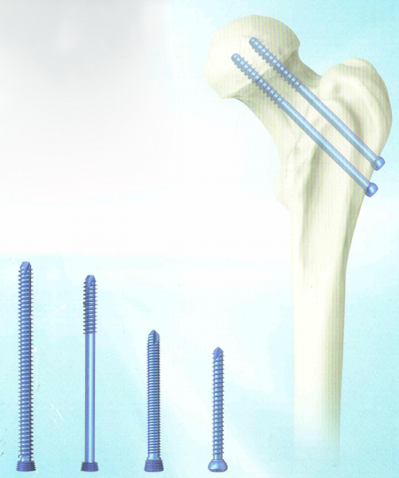 1677490323106769.png 1ec5265a56671ac3090cf80b8670ed65.png