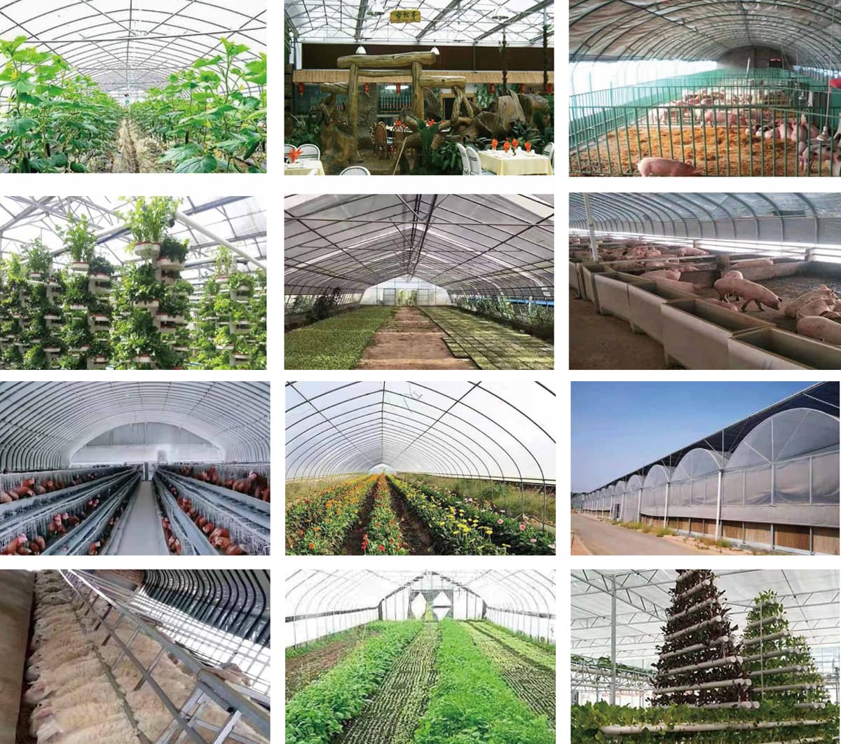 1677552102625184.jpg Display.jpg